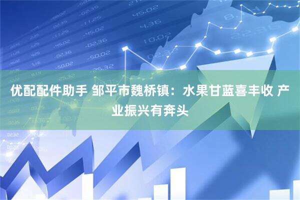 优配配件助手 邹平市魏桥镇：水果甘蓝喜丰收 产业振兴有奔头