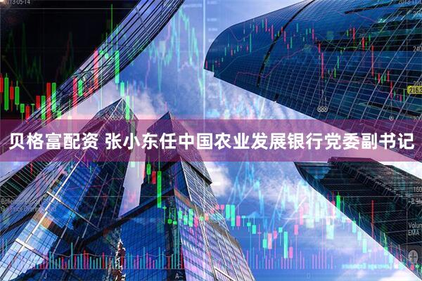 贝格富配资 张小东任中国农业发展银行党委副书记